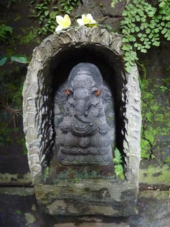Bali Asli Lodge By Eps Ubud Zewnętrze zdjęcie